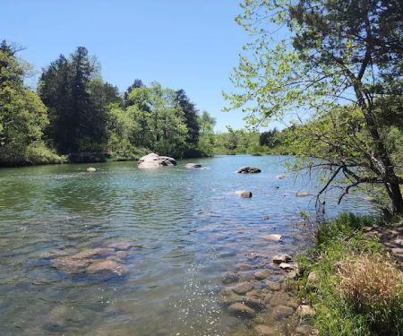 Blue River Campsites