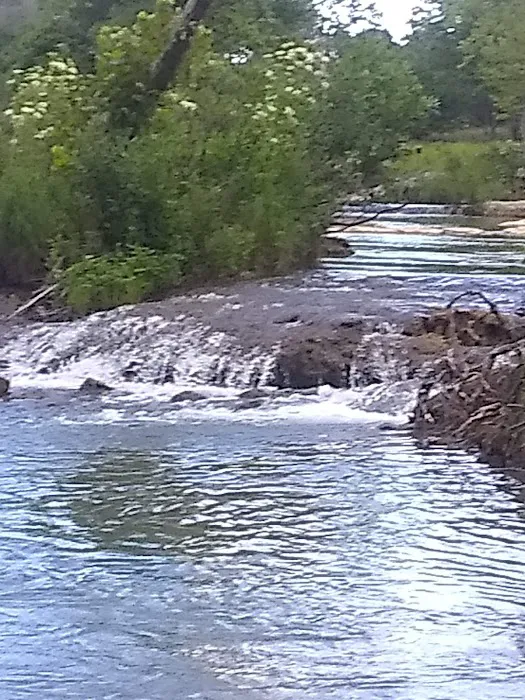 Nichols Don 6