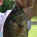 Chaney Point RV Park