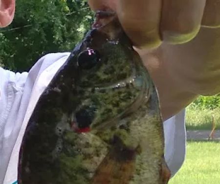 Chaney Point RV Park