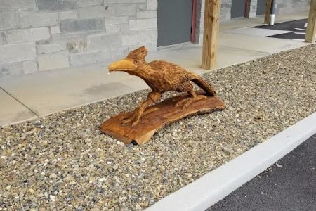 Roadrunner Acres RV Ranch