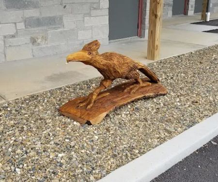 Roadrunner Acres RV Ranch