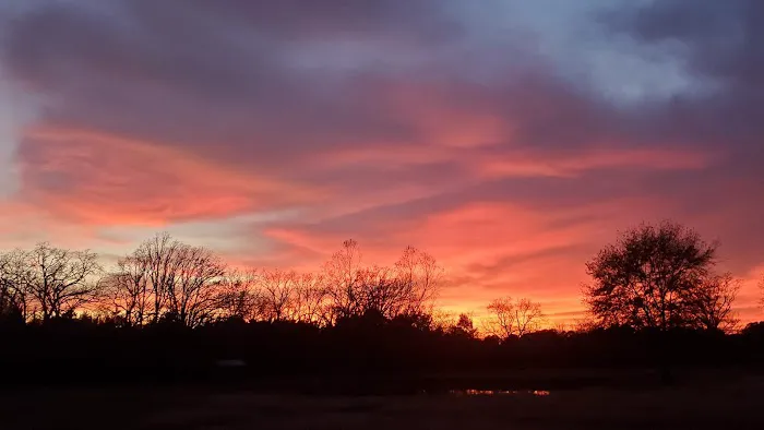 Roadrunner Acres RV Ranch 2