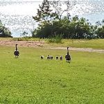 Goose Feather Campground at Fort Cobb State Park