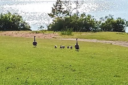 Goose Feather Campground at Fort Cobb State Park