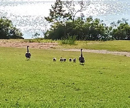 Goose Feather Campground at Fort Cobb State Park