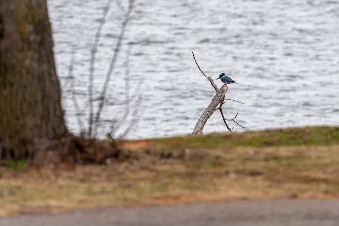 Cove Road Campground at Fort Cobb State Park 1