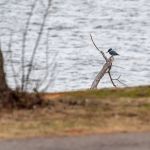 Cove Road Campground at Fort Cobb State Park
