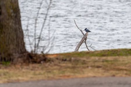 Cove Road Campground at Fort Cobb State Park