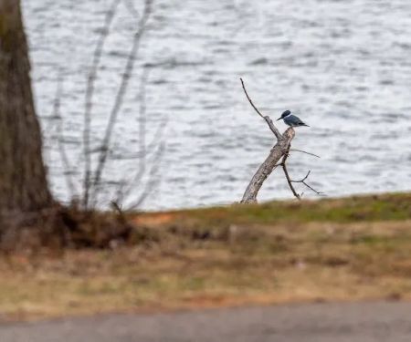 Cove Road Campground at Fort Cobb State Park