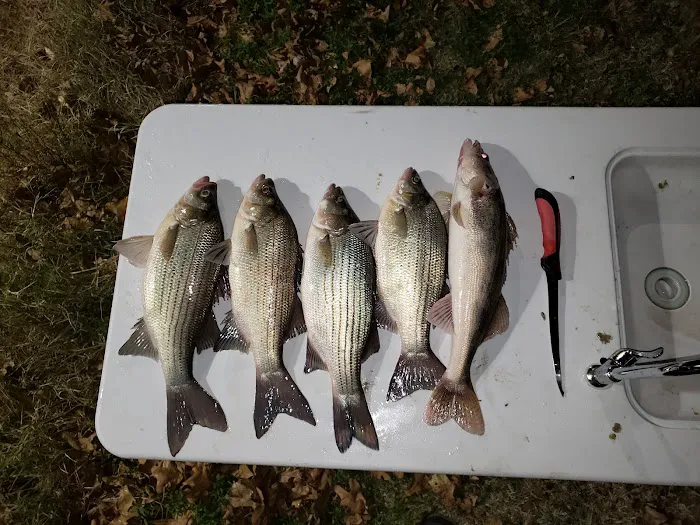 Flagpole Campground at Fort Cobb State Park 1