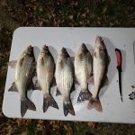 Flagpole Campground at Fort Cobb State Park