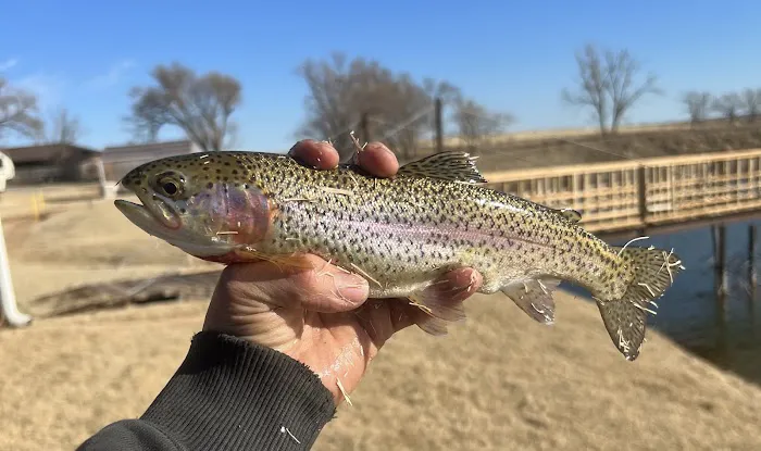 Hillwilliam Farms Fishing & RV Adventures 7