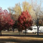 Seidels RV Park and Campground