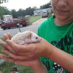 Country Club Ests & Mobile Home