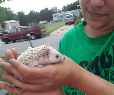 Country Club Ests & Mobile Home