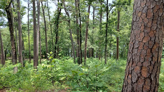 Cedar Point Campgrounds 8
