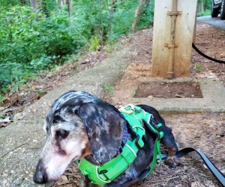 Cedar Point Campgrounds