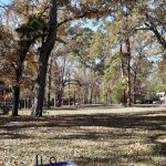 Tyler State Park Big Pine Campgrounds