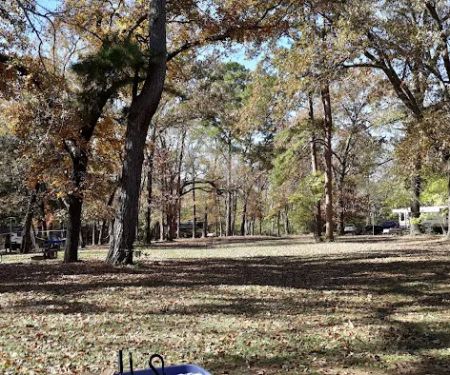 Tyler State Park Big Pine Campgrounds