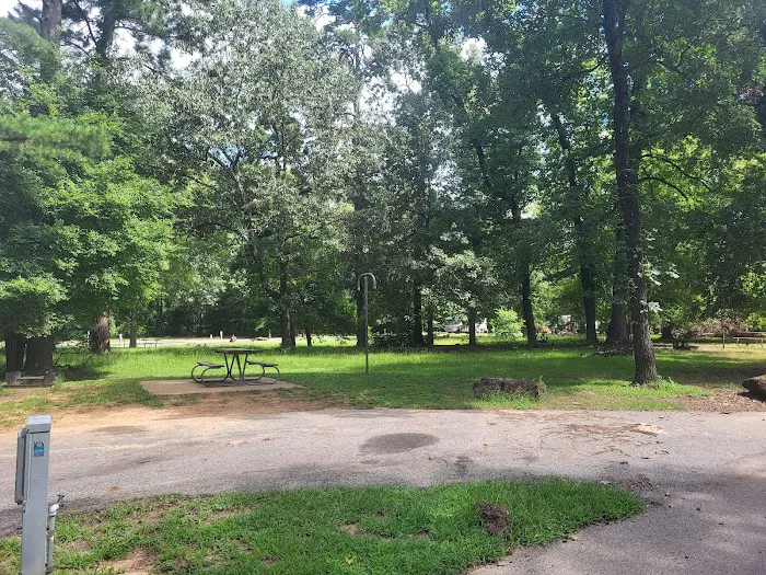 Tyler State Park Big Pine Campgrounds 8