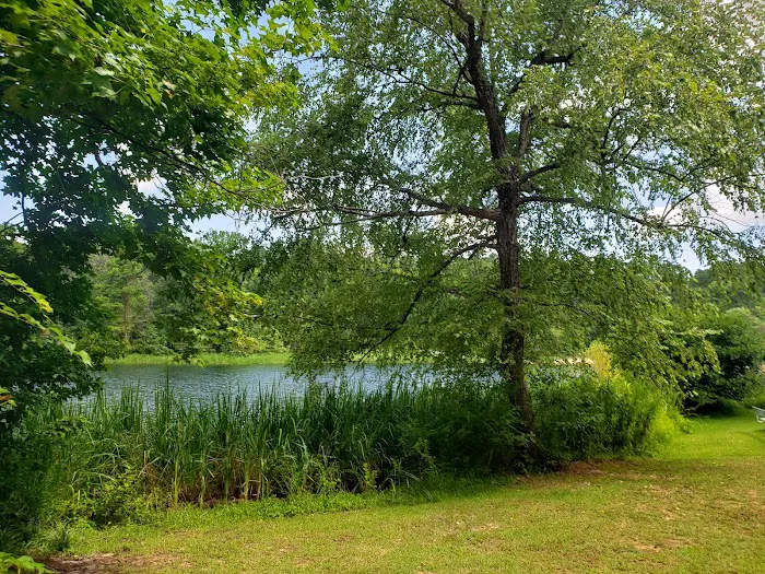 Tyler State Park Big Pine Campgrounds 4