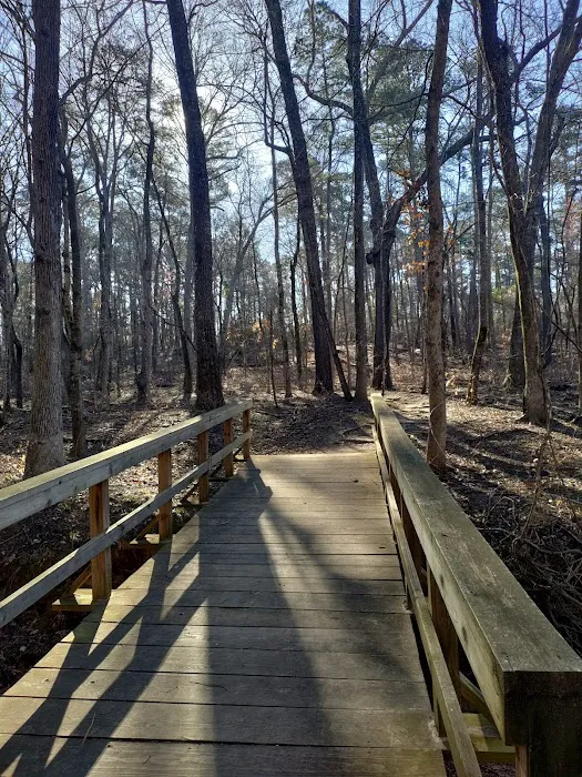 Tyler State Park Big Pine Campgrounds 7
