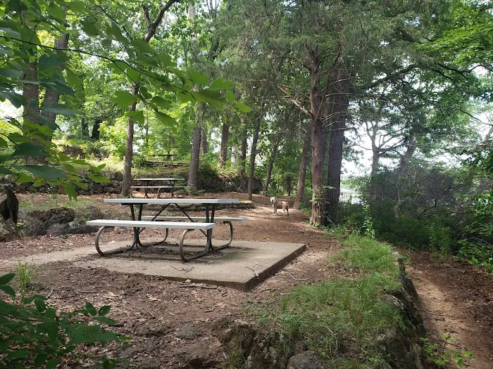 Tyler State Park Big Pine Campgrounds 3