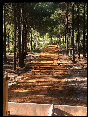 Pine Springs RV Park 2