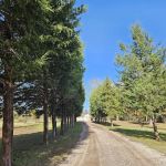 Danville Mobile Home Park