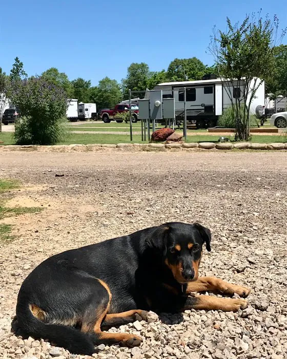 The Trails at Lavender Road - RV Park 4