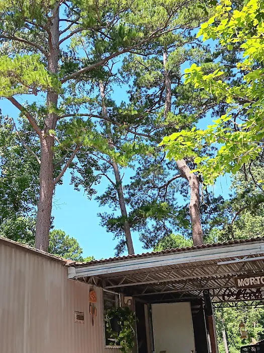 Pinecrest 4