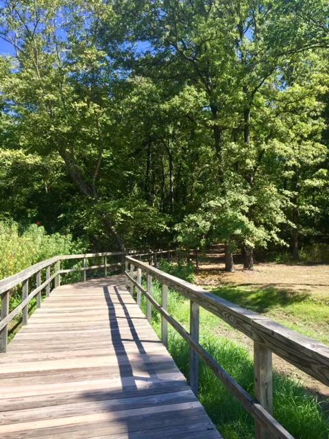 Cypress Black Bayou Recreation and Water Conservation District 6