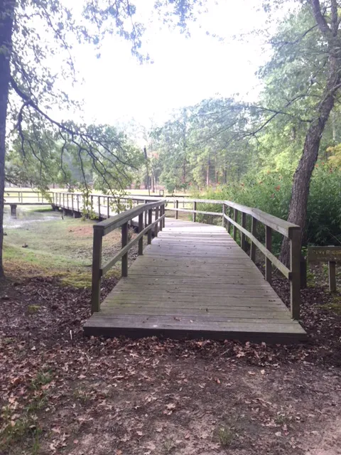 Cypress Black Bayou Recreation and Water Conservation District 4