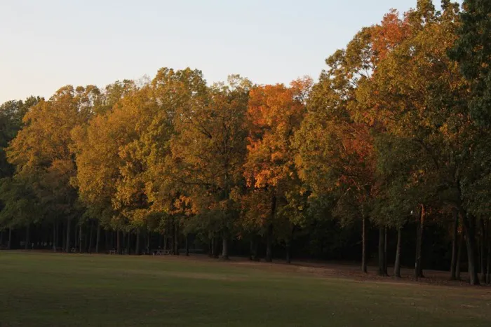 Cypress Black Bayou Recreation and Water Conservation District 3
