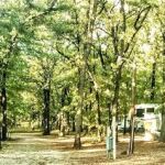 Ardmore Camper's Friend