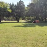 Erwin Park Campsite # 11