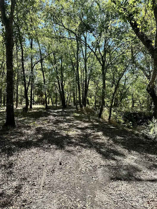 Triple Creek RV Park, Fishing & Wildlife - Caddo Mills/Greenville 10