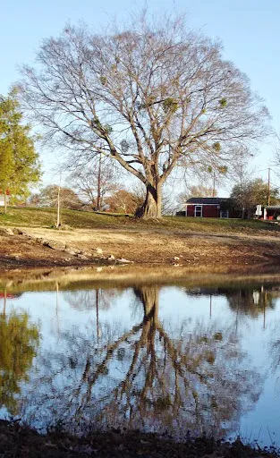 Shady Lake RV Park 10