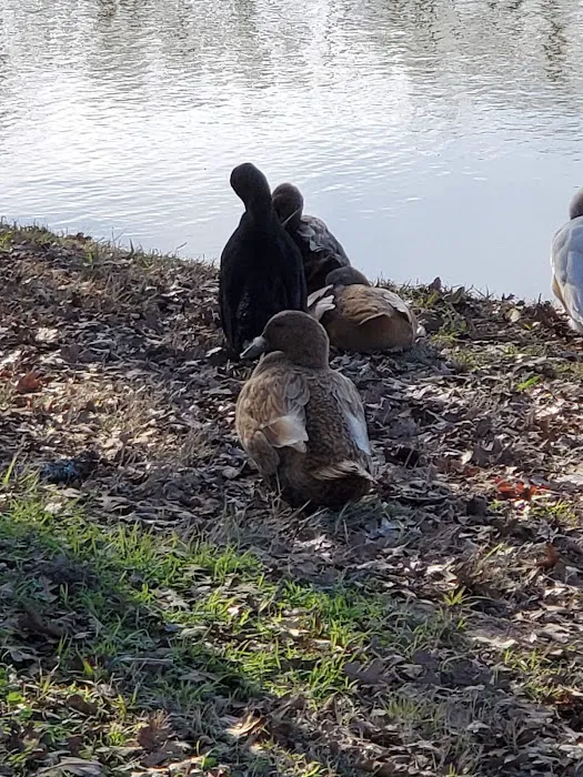 Shady Lake RV Park 6