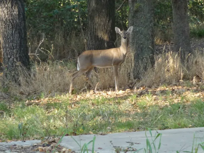 Wind Point Park 10