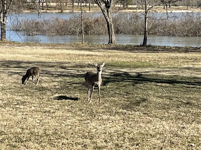 Wind Point Park 3