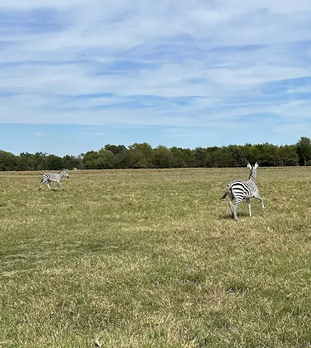 Cross Timbers RV Park 5