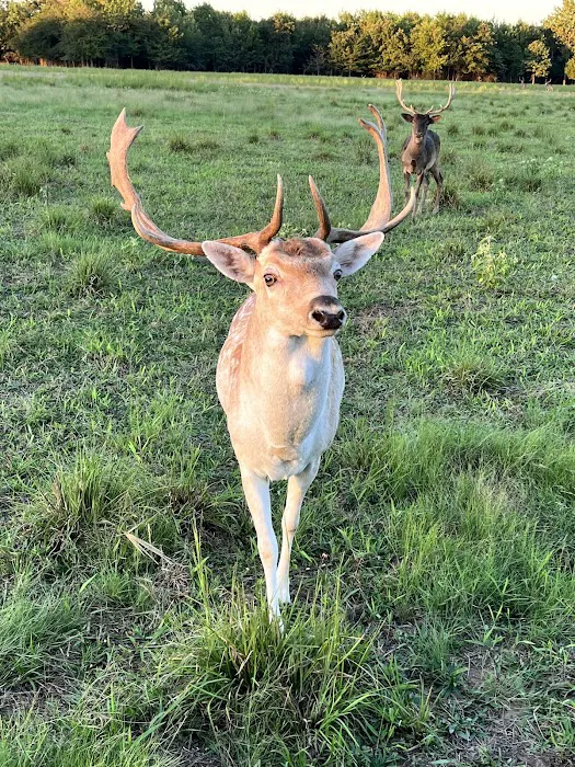 Cross Timbers RV Park 6
