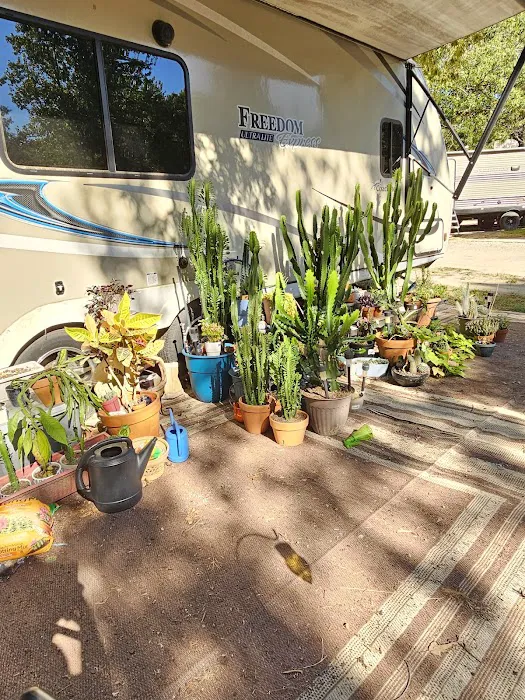 Mineola RV Park 1