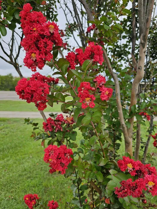 Mineola RV Park 8