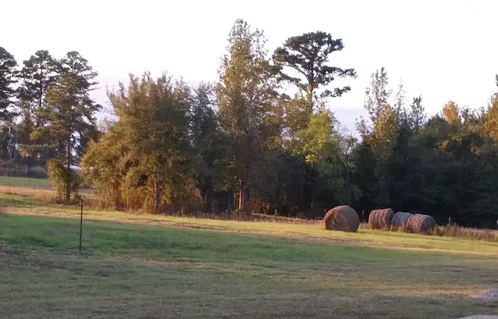 Dodson Farm RV Park 4