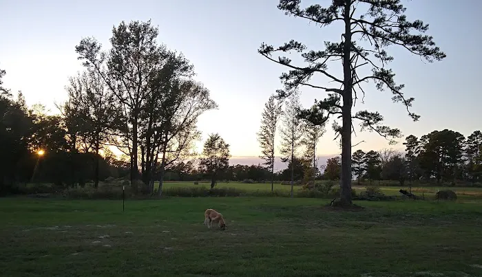 Dodson Farm RV Park 1