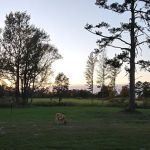 Dodson Farm RV Park