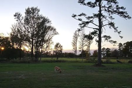 Dodson Farm RV Park
